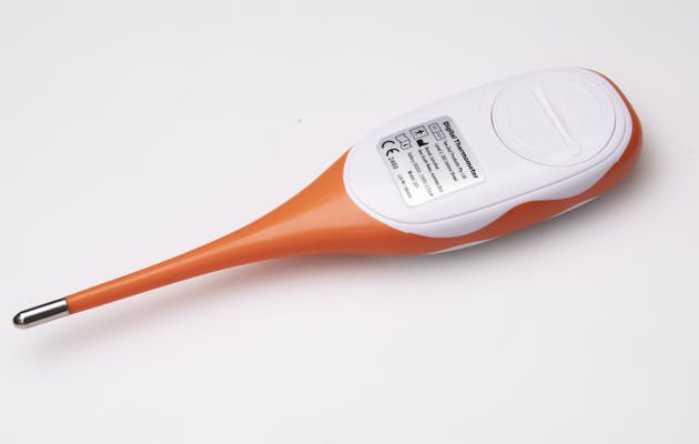 Dreambaby Rapid Response Digital Thermometer F320